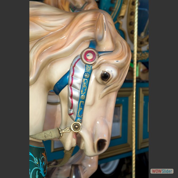 Carny Rochester5:05-026