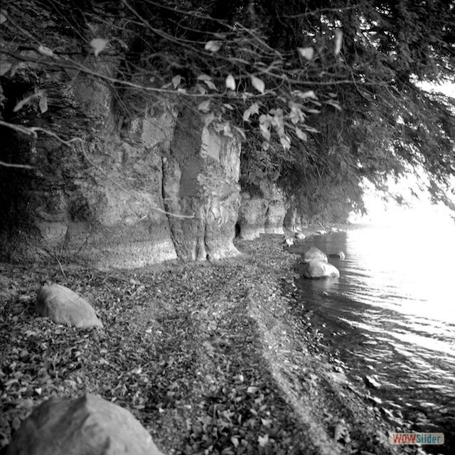 lake shore9