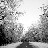 ice-storm =-bw2