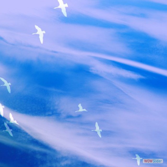 flight over water small