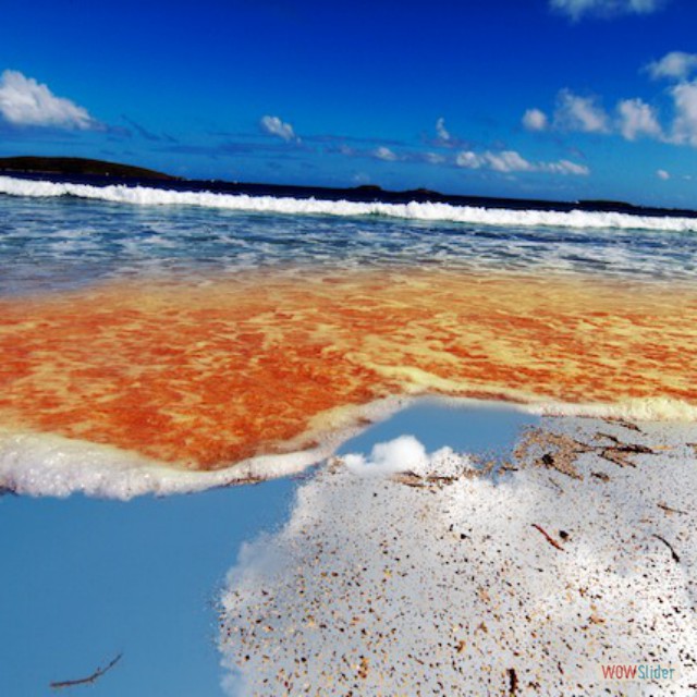 water reflection front