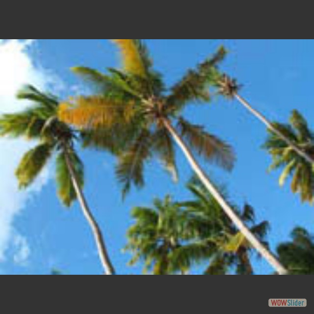 Boat-ride-St-Lucia062