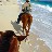 Barbuda-horseback ridi0041
