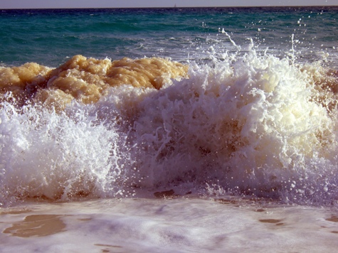 Melanie Heinrich - Travel Images - Barbuda