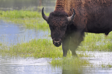 Melanie Heinrich Photographer