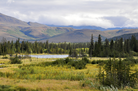 Melanie Heinrich Images