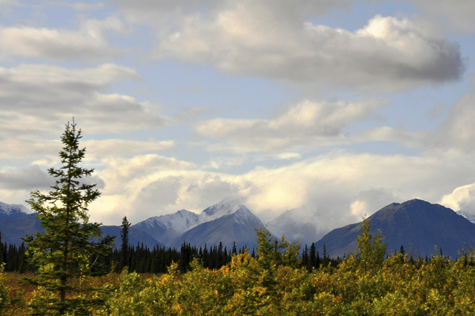 Melanie Heinrich Images