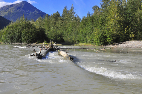 Melanie Heinrich Images - Alaska