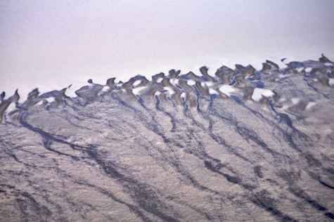 Melanie Heinrich Images - Alaska