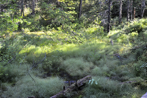 Melanie Heinrich Images - Alaska