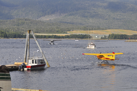 Melanie Heinrich Images - Alaska