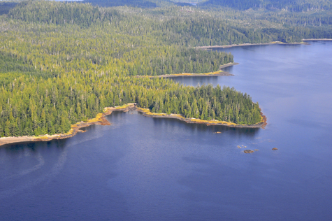 Melanie Heinrich Images - Alaska