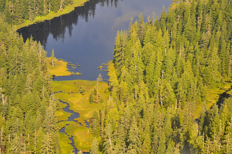 Melanie Heinrich Images - Alaska
