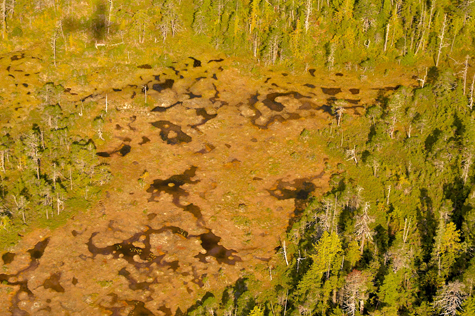 Melanie Heinrich Images - Alaska