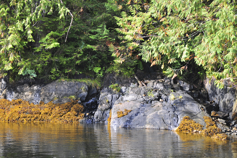 Melanie Heinrich Images - Alaska