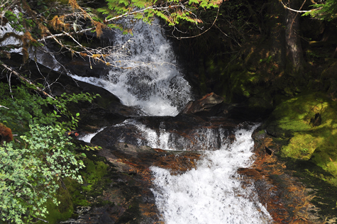 Melanie Heinrich Images - Alaska
