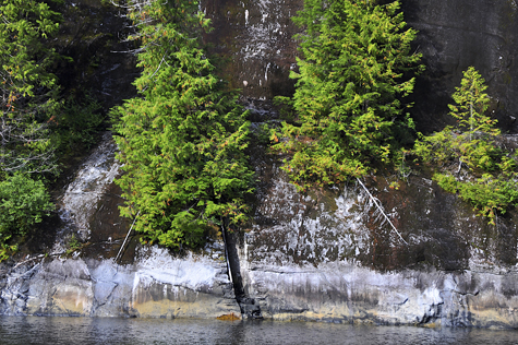 Melanie Heinrich Images - Alaska