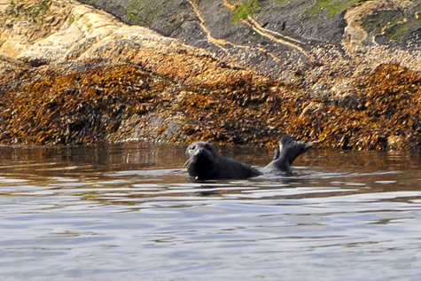 Melanie Heinrich Images - Alaska