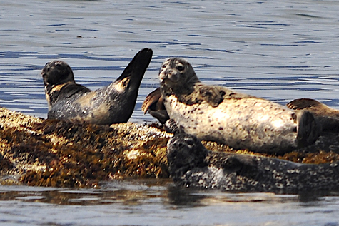 Melanie Heinrich Images - Alaska