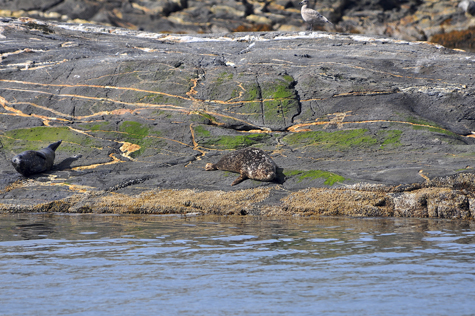 Melanie Heinrich Images - Alaska
