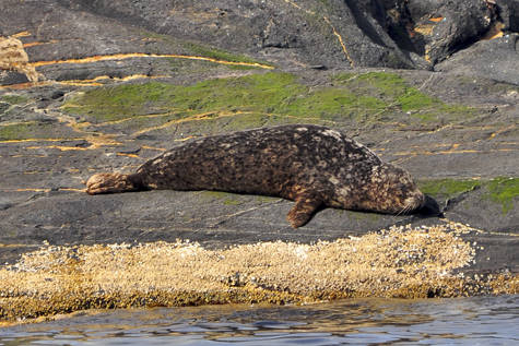 Melanie Heinrich Images - Alaska