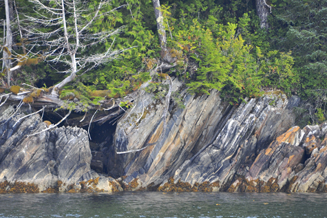 Melanie Heinrich Images - Alaska