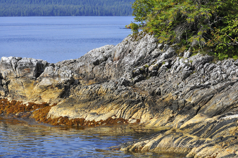 Melanie Heinrich Images - Alaska