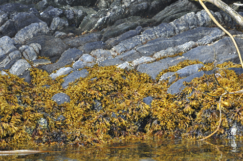 Melanie Heinrich Images - Alaska