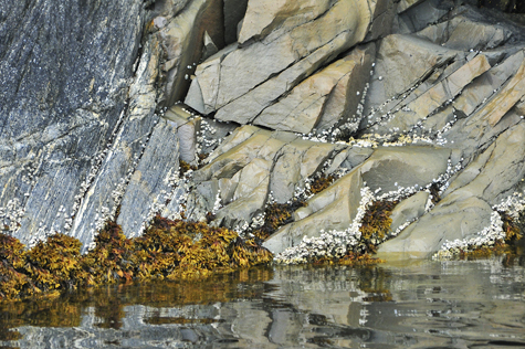 Melanie Heinrich Images - Alaska