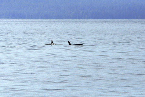 Melanie Heinrich Images - Alaska