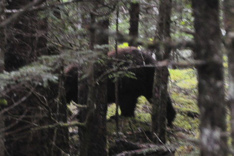Melanie Heinrich - Travel in Alaska