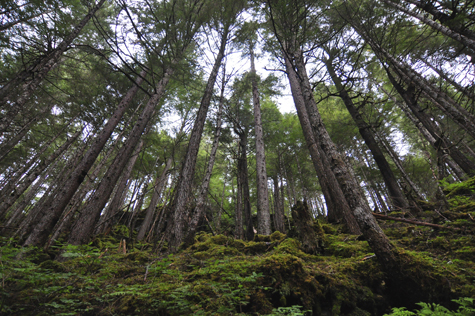 Melanie Heinrich - Travel in Alaska