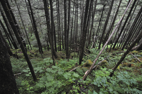 Melanie Heinrich - Travel in Alaska