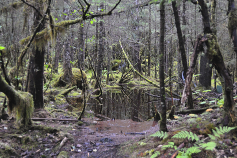Melanie Heinrich - Travel in Alaska