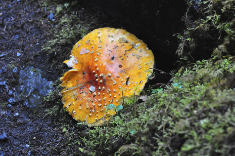 Melanie Heinrich - Travel in Alaska