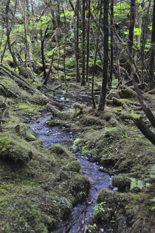 Melanie Heinrich - Travel in Alaska