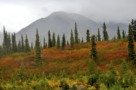 Melanie Heinrich - Travel in Alaska